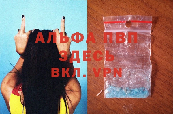 СК Володарск
