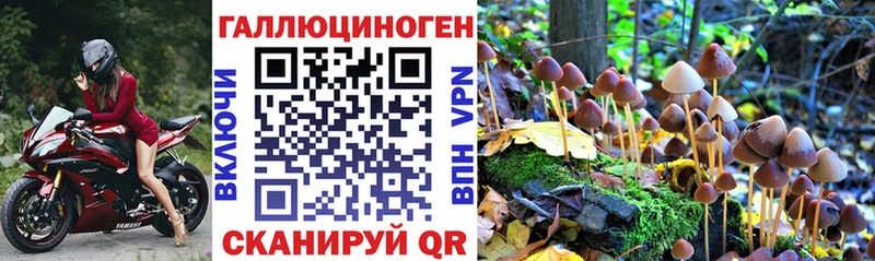 Галлюциногенные грибы Psilocybe  площадка Telegram  Богородск 